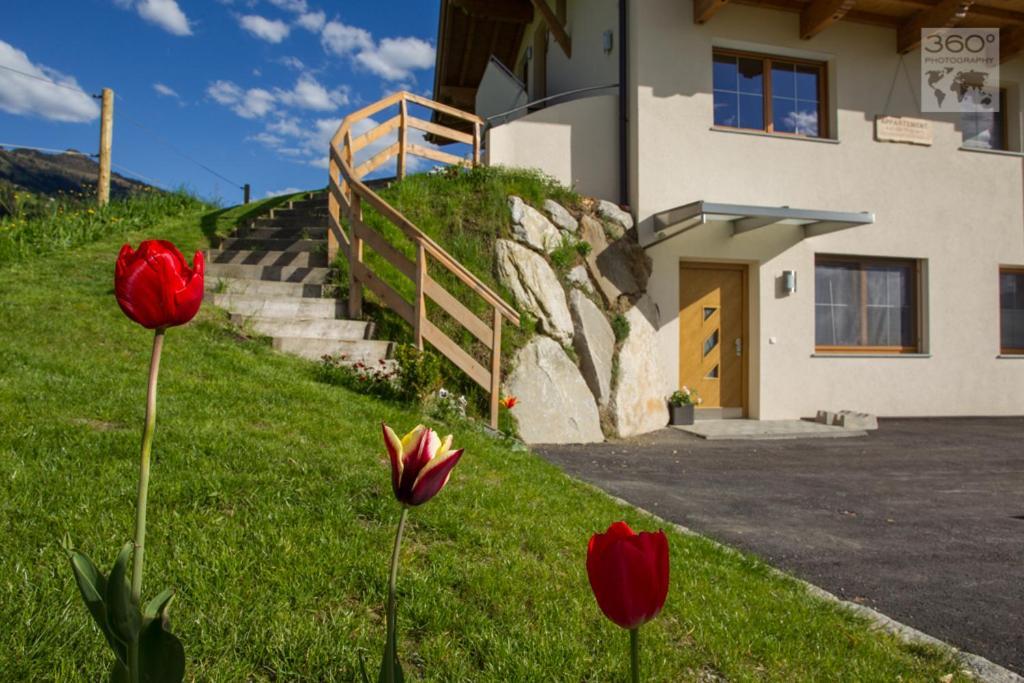 Appartement Lindner Hannes Westendorf Cameră foto